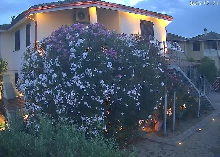 Vakantiehuis Oasi Relax P1